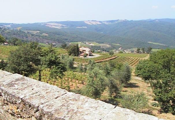 Podere Soccorso Montalcino Kültér fotó