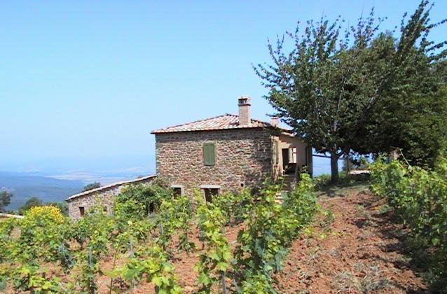 Podere Soccorso Montalcino Kültér fotó
