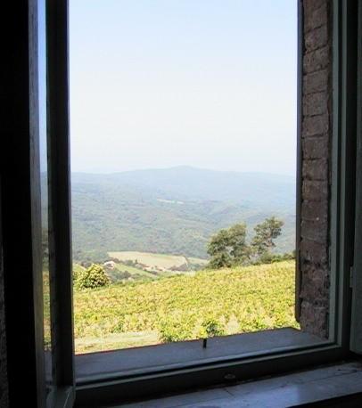 Podere Soccorso Montalcino Kültér fotó