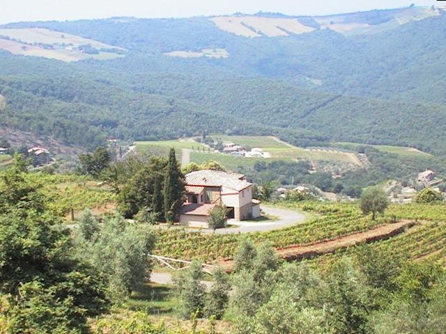 Podere Soccorso Montalcino Kültér fotó